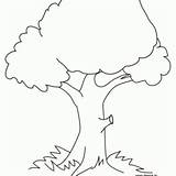 Simple Tree Coloring Page Printable For Free Download sketch template