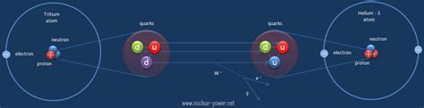 Electroweak Interaction - Electroweak Force