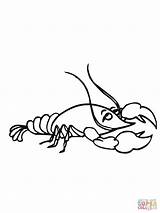 Captain Crawfish Coloring Page sketch template