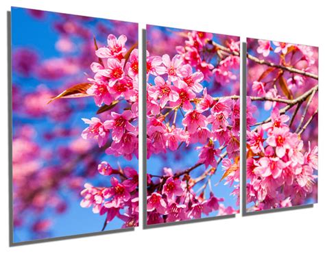 Pink Cherry Tree Blossom Metal Print Wall Art, 3 Panel Split, Triptych - Asian - Metal Wall Art ...