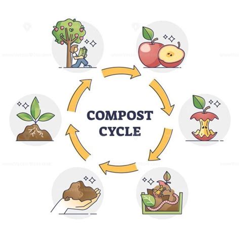 Compost cycle with natural food waste recycling process outline diagram - VectorMine