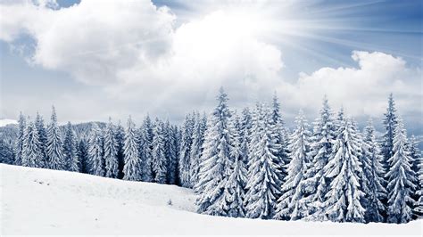 January Winter Desktop Wallpapers - Top Free January Winter Desktop ...