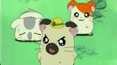 Hamtaro episode 1 - YouTube