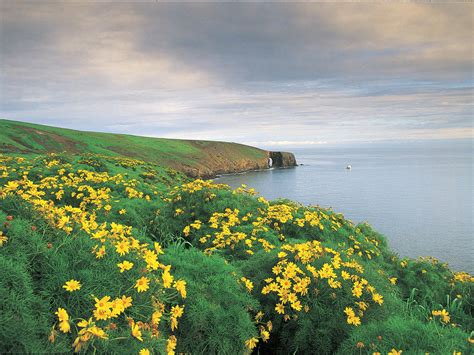 Channel Islands National Park - Sunset