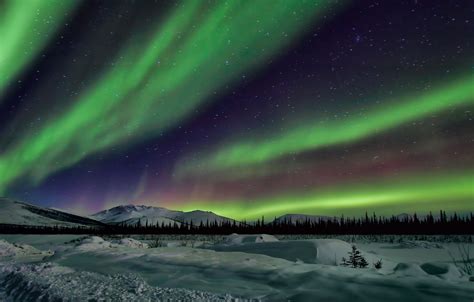 Wallpaper the sky, stars, snow, trees, landscape, mountains, night ...