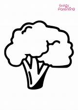 Easy Printable Cauliflower Coloring Pages For Kids sketch template