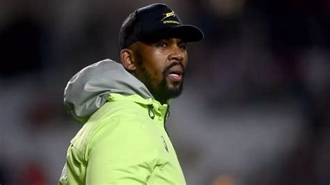 Springbok coaches renew contracts for four years | rugby