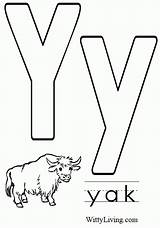 Alphabet Letter Y Yak Coloring sketch template