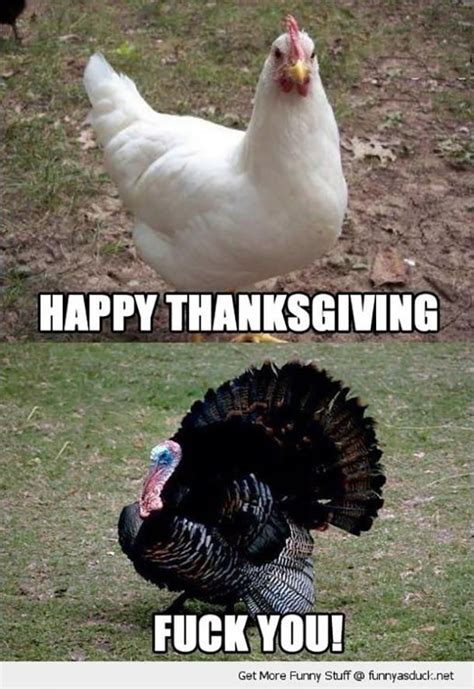 50 Funny Thanksgiving Memes To Make You Laugh Like A Real Turkey ...