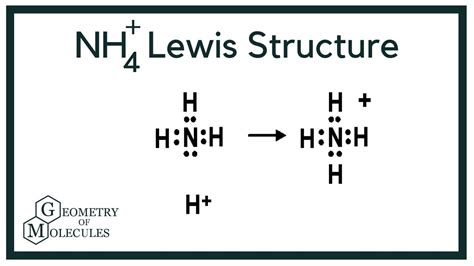 NH4+ Lewis Structure (Ammonium Ion) - YouTube