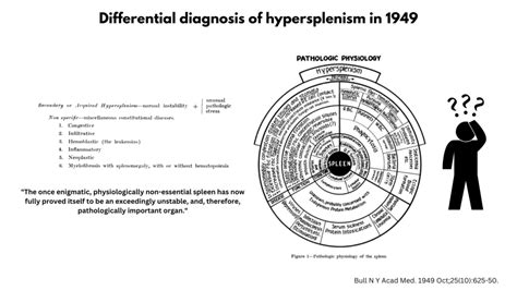 Hypersplenism in History • The Blood Project