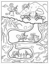 Ant Coloring Page sketch template