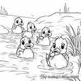 5 Little Ducks Coloring Pages  Free & Printable sketch template