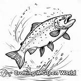 Trout Coloring Pages  Free & Printable sketch template