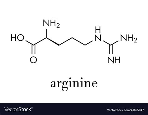 Arginine l-arginine arg r amino acid molecule Vector Image