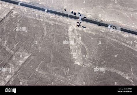 Aerial view of the spectacular Nazca Lines, Peru Stock Photo - Alamy