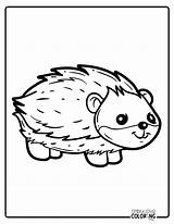 Free Porcupine Coloring Pages  Simply Love sketch template