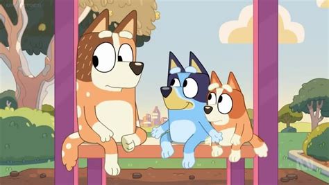 Bluey Season 2 Episode 50 – Baby Race | Watch cartoons online, Watch ...