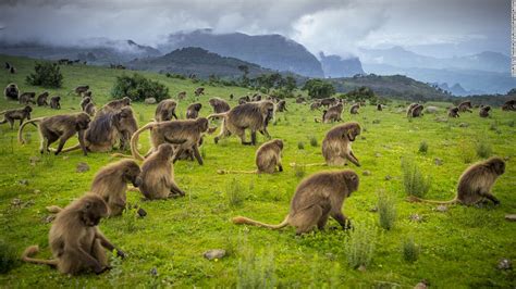 Ethiopia is Africa's next big tourist draw | CNN Travel