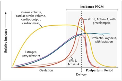 Peripartum Cardiomyopathy | NEJM Resident 360