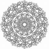 Contour mandala Of Various mushrooms Meditative coloring Page With  sketch template