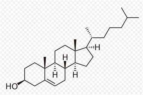 Solved Identify the chiral centers in Cholesterol. Then | Chegg.com