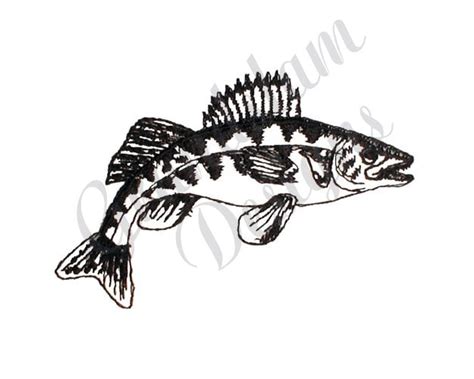 Walleye Outline Machine Embroidery Design Embroidery - Etsy Singapore