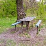 Weathered Picnic Table in a Forest Stock Photo by ©rhamm 13833696