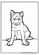 Wolf Pup Coloring Pages sketch template