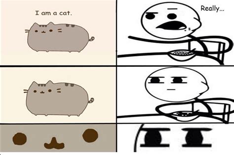 Pusheen cat - Meme by merlin3000 :) Memedroid