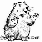 Ground Hog Coloring Pages  Free & Printable sketch template