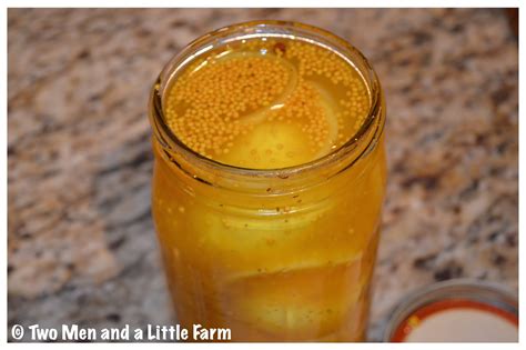 Two Men and a Little Farm: AMISH MUSTARD EGGS RECIPE