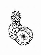 Free Printable Pineapple Fruit coloring Page  Download Print Or Color sketch template