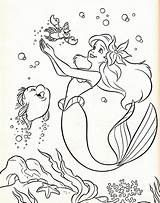 Ariel And Flounder Coloring Page  Home sketch template