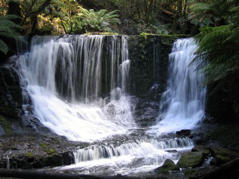 Russell Falls – Tasmania – This Travel Life