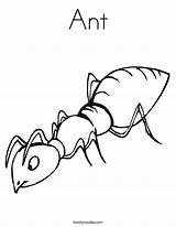 Ant Coloring Pages For Kids sketch template