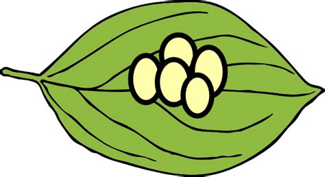 Leaf With Eggs Clip Art at Clker.com - vector clip art online, royalty free & public domain