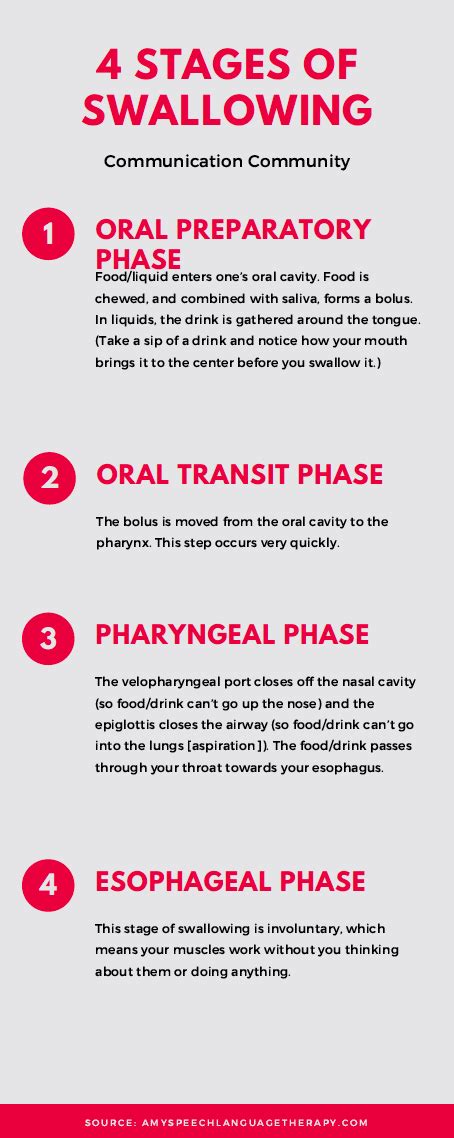 What is Adult Dysphagia (Difficulty Swallowing)? The Symptoms, Causes, Evaluations, and ...