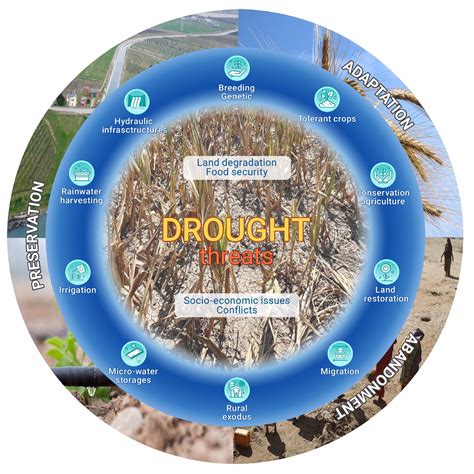 Effects Of Drought On Agriculture