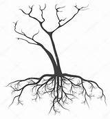 Simple Tree Roots Coloring Pages sketch template