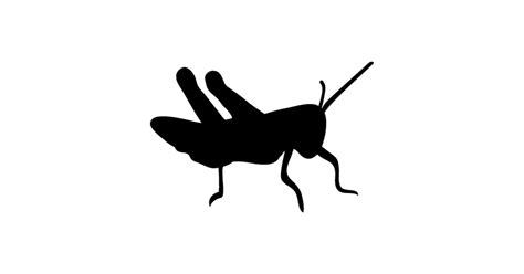 Cricket Bug Insect Silhouette - Cricket Bug - Sticker | TeePublic