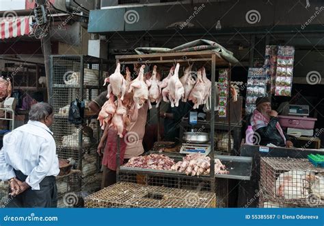 Traditional Chicken Market Editorial Image | CartoonDealer.com #35472374