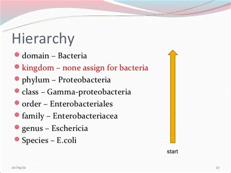 (A) 1 bacterial classification schemes new