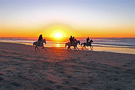 Horse riding on the beach at sunset #6 Photograph by Nisangha Ji - Fine ...