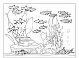 Fish Community In aquarium coloring pages sketch template