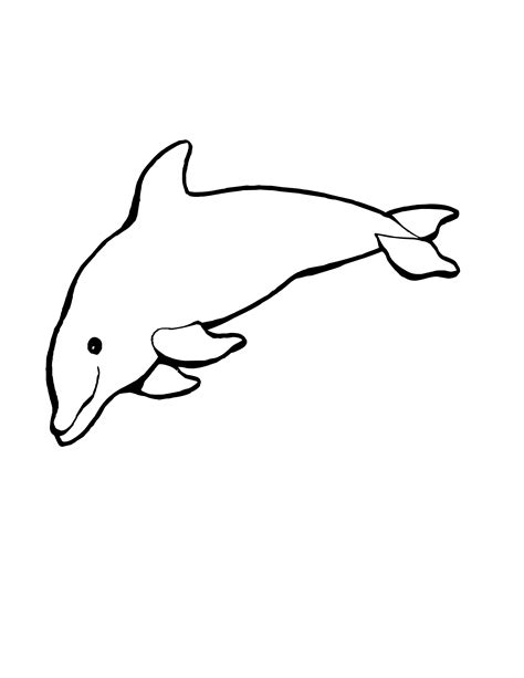 Baby Dolphin Coloring Pages | Free download on ClipArtMag