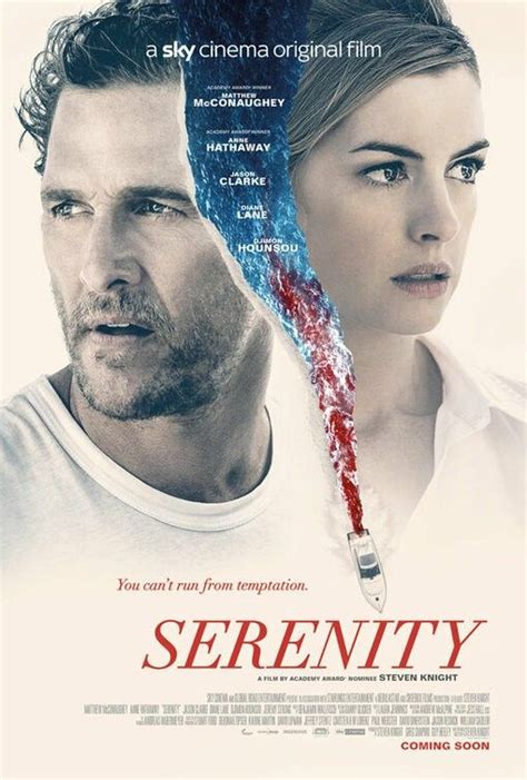 the movie poster for serenity is shown with a man and woman looking at ...