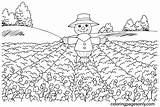 35 Scarecrow Coloring Pages  ColoringPagesOnlycom sketch template