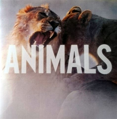 Maroon 5 - Animals (2014, CD) | Discogs