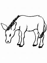 Donkey Coloring Pages Printable Sketch Page sketch template